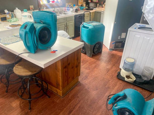 Best Ceiling water damage repair  in Crown Pot, IN