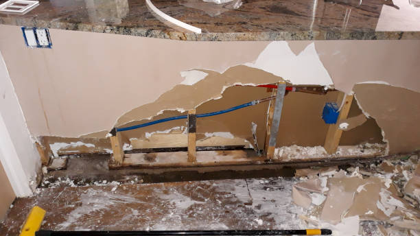 Best Fire Damage Restoration  in Crown Pot, IN