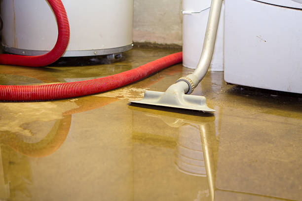 Professional Water damage restoration in IN